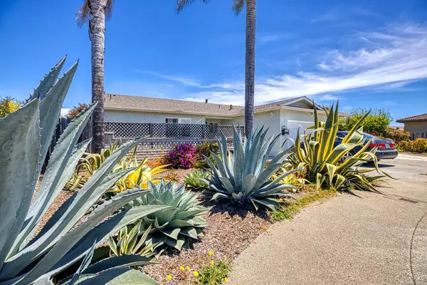 Freedom, CA 95019,145 Fuchsia CT