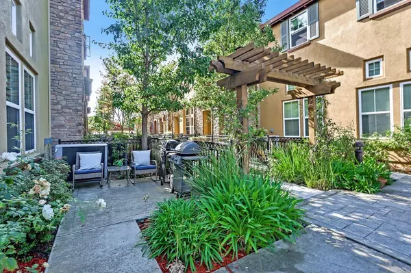 Sunnyvale, CA 94086,251 Ficus TER