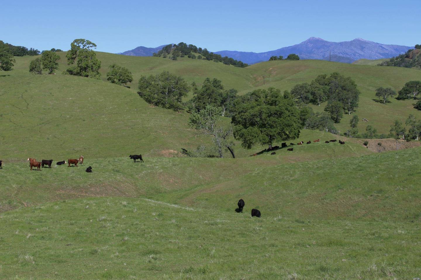 Igo, CA 96047,1 McAuliffe Road
