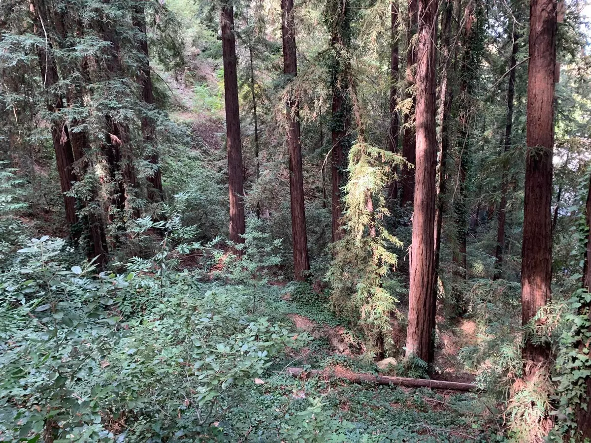 Los Gatos, CA 95033,21745 Lindbergh DR