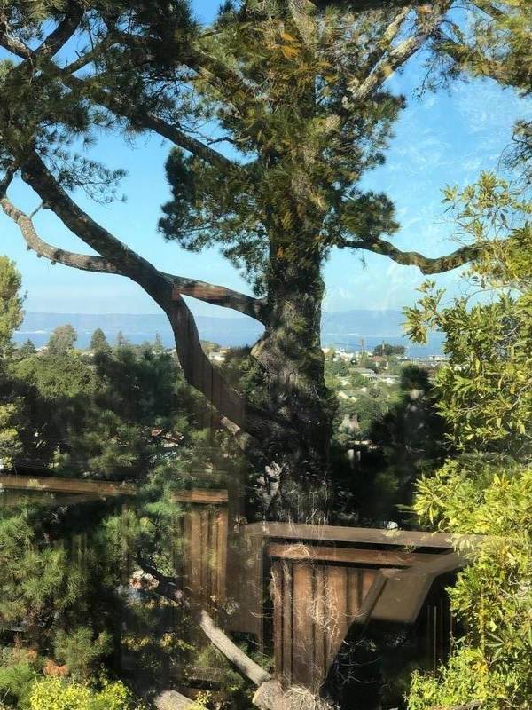 2510 Carmelita AVE, Belmont, CA 94002