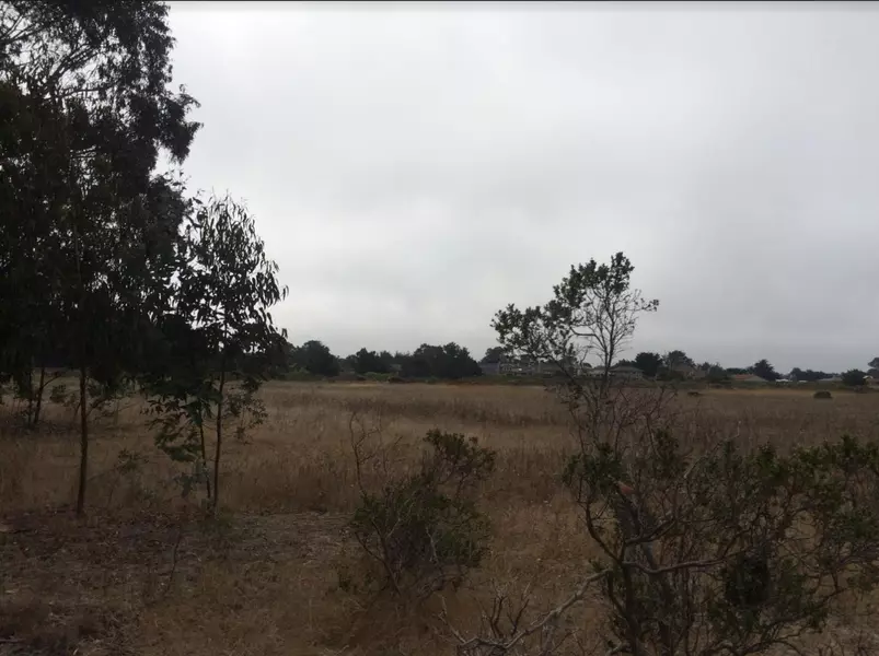 Half Moon Bay, CA 94019