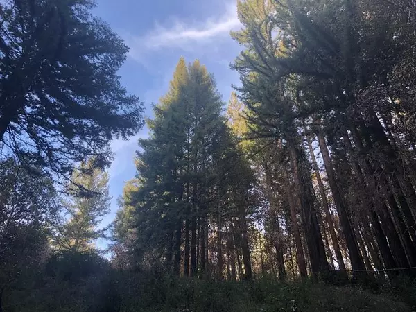 Boulder Creek, CA 95006,0 Nottingham WAY