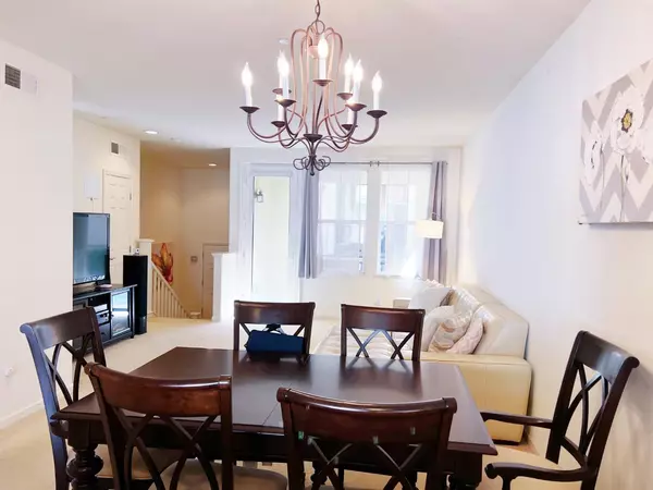 Fremont, CA 94539,106 Boston Fern CMN 249