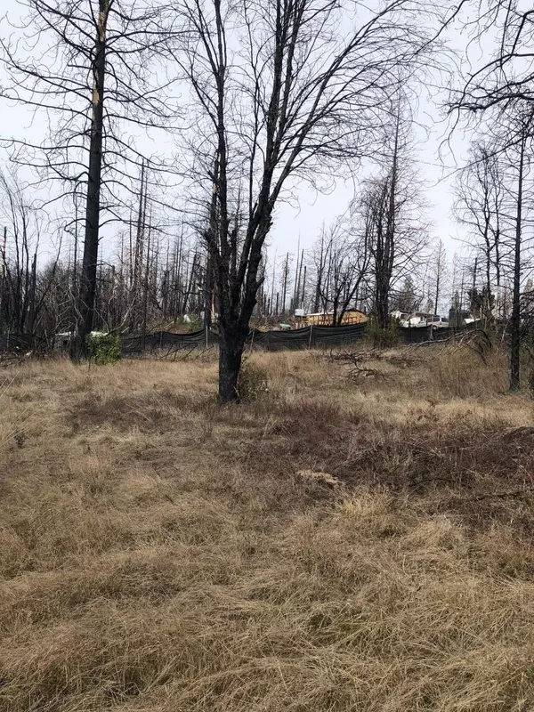 Berry Creek, CA 95916,164 Graystone LN