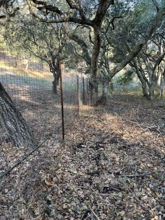 Carmel Valley, CA 93924,0 vacant land