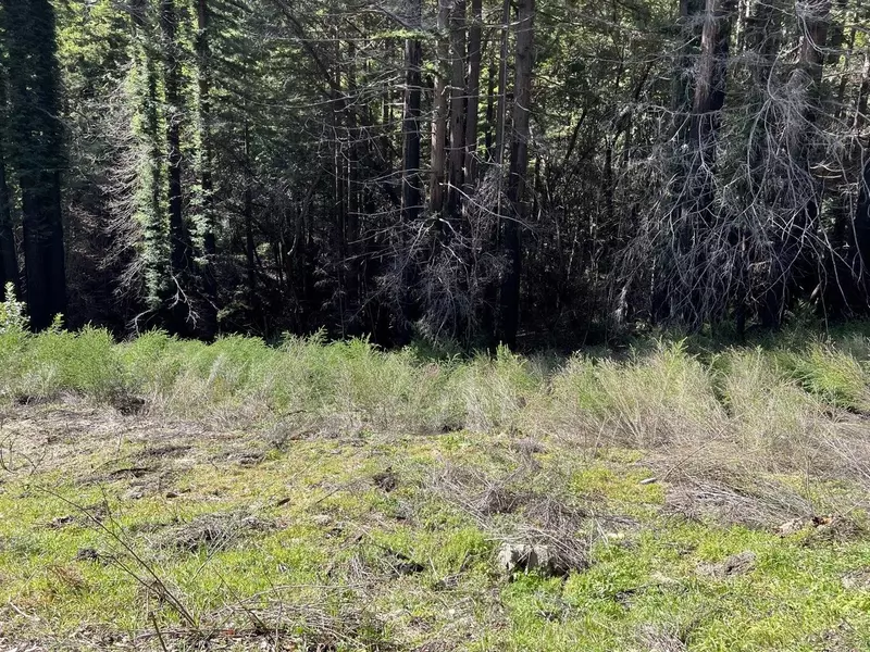 00 Memory LN, Boulder Creek, CA 95006