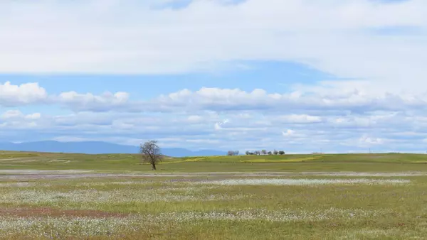 Road 33, Artois, CA 95913