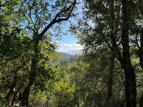 Boulder Creek, CA 95006,000 CA-9