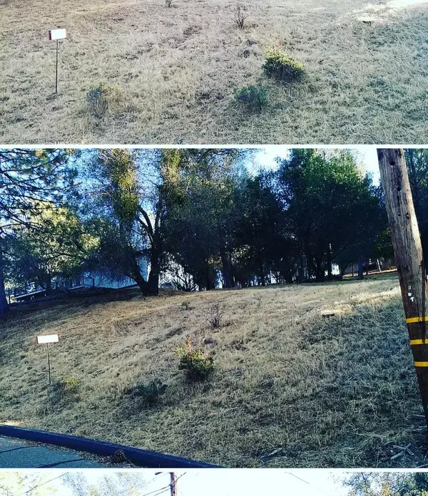 Groveland, CA 95321,20718 Rising Hill Circle