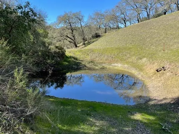 Morgan Hill, CA 95037,000 Poli Road