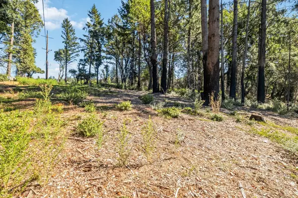 Santa Cruz, CA 95060,Lot 11 Vick DR