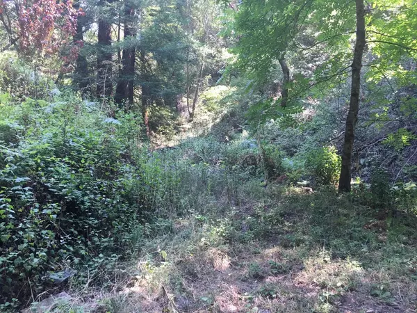 Scotts Valley, CA 95066,0 Homestead TRL