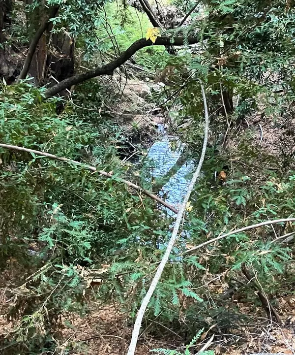 Los Gatos, CA 95033,0 Old Logging RD