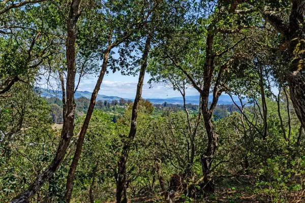 Corralitos, CA 95076,400 Skylark LN