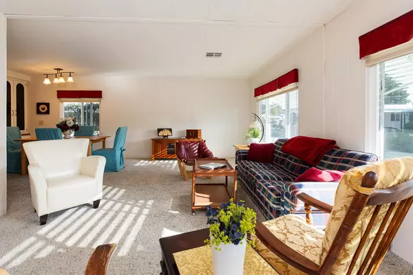 Scotts Valley, CA 95066,225 Mt. Hermon Road 216