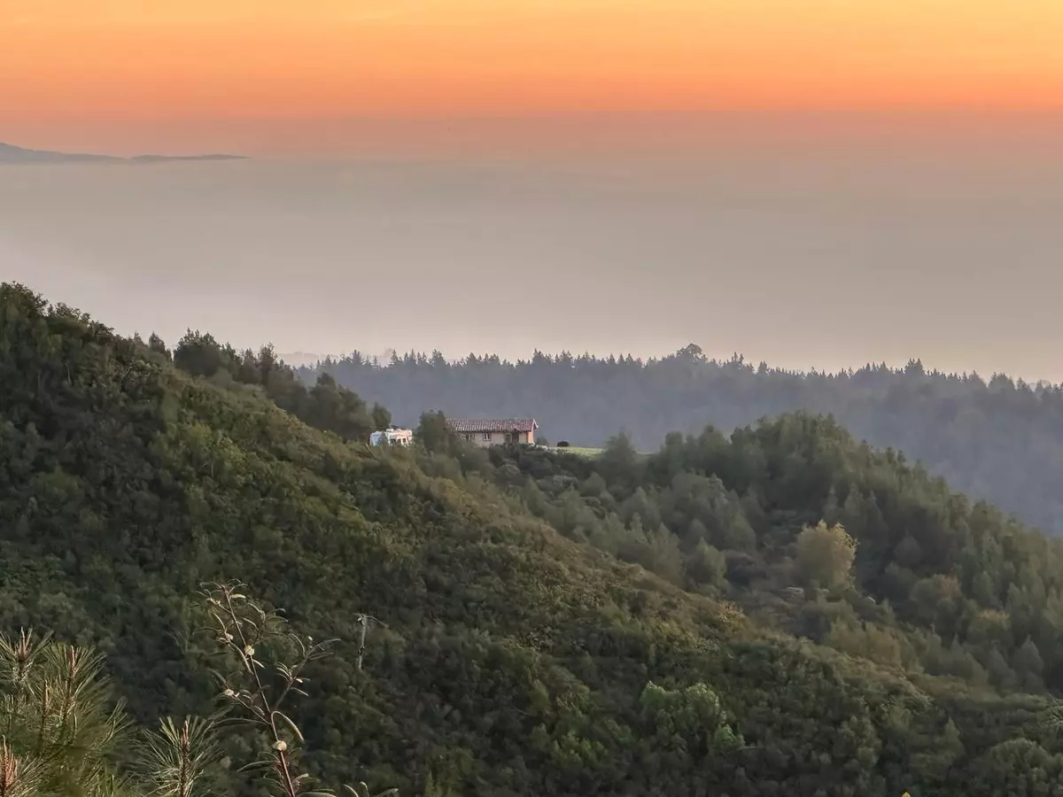 Los Gatos, CA 95033,620 Maymens Flat RD