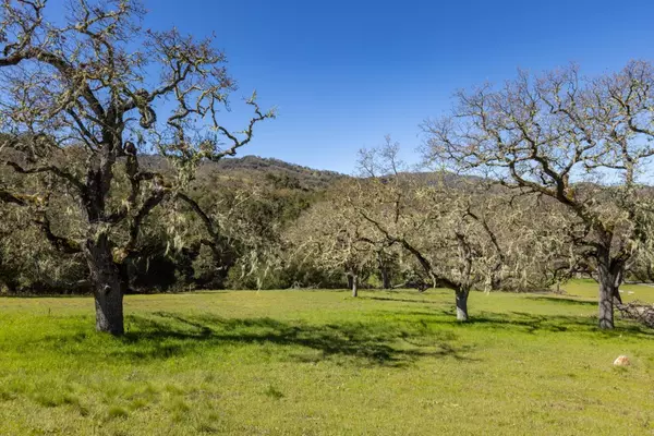 Carmel, CA 93923,24 Pronghorn RUN