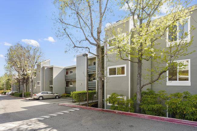 4000 Farm Hill BLVD 205, Redwood City, CA 94061