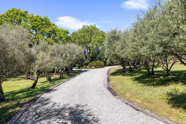 Carmel Valley, CA 93924,19 Ring LN