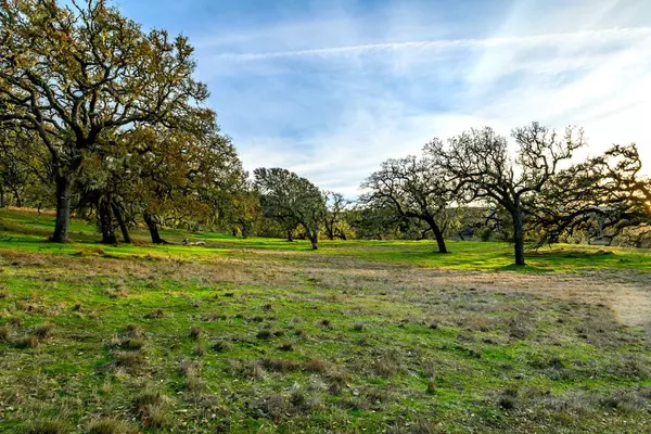 Carmel, CA 93923,14 Vasquez Trail (Lot 181)