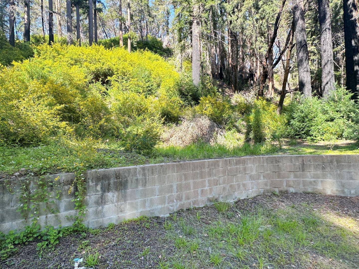 Boulder Creek, CA 95006,575 Hazel Brake