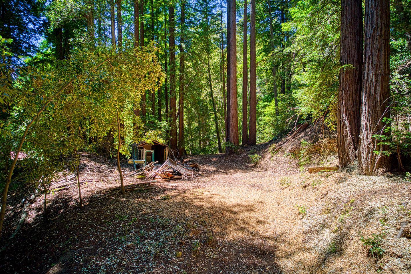 Los Gatos, CA 95033,15998 Stetson RD