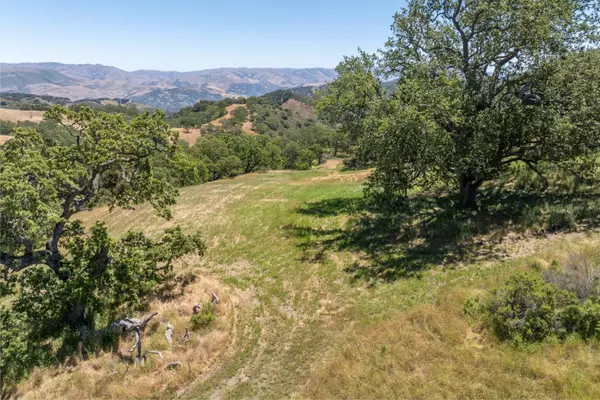 Carmel, CA 93923,5 Black Mountain Trail (Lot 247)