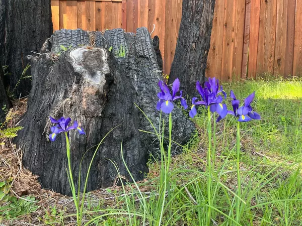 Boulder Creek, CA 95006,830 Kings HWY