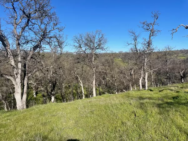 Red Bluff, CA 96080,108 Lot 8 of Tract No.91-1002 LN