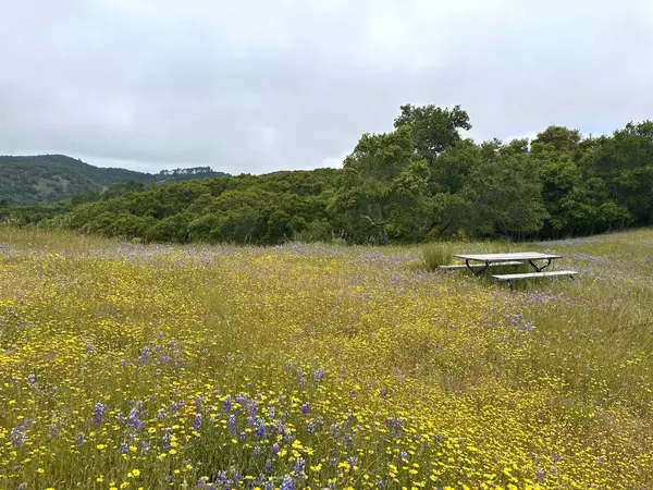 Carmel, CA 93923,8 Corral RUN