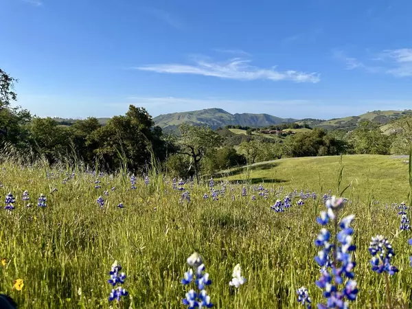 Carmel, CA 93923,8 Touche PASS