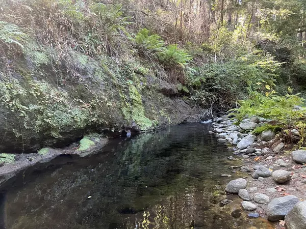 Boulder Creek, CA 95006,14515 Big Basin HWY