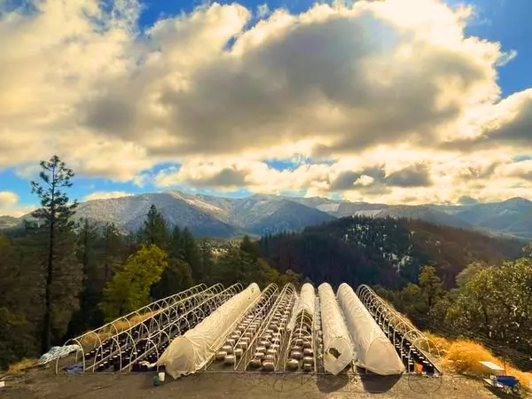 Hayfork, CA 96041,1900 Devils Gulch RD