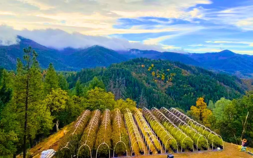 1900 Devils Gulch RD, Hayfork, CA 96041