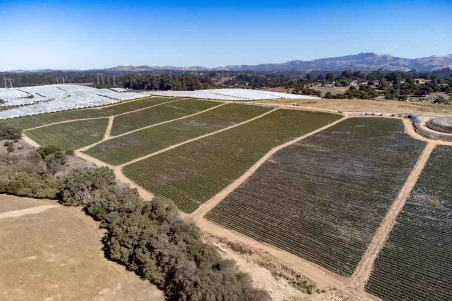 16475 Blackie RD, Salinas, CA 93907