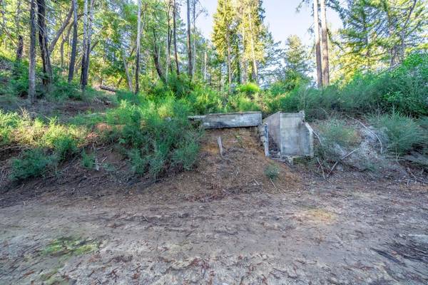 350 Madrone DR, Boulder Creek, CA 95006