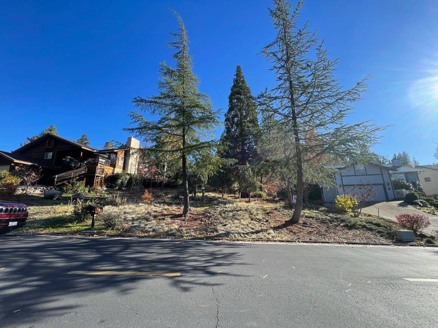 731 Dogwood DR, Murphys, CA 95247