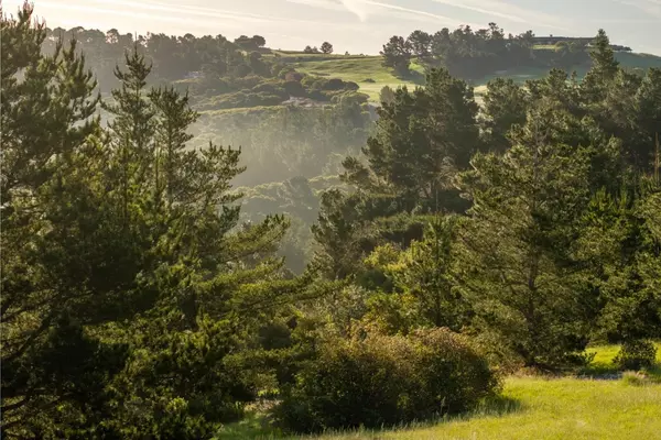 Carmel, CA 93923,7925 Cinquenta (Lot 97)