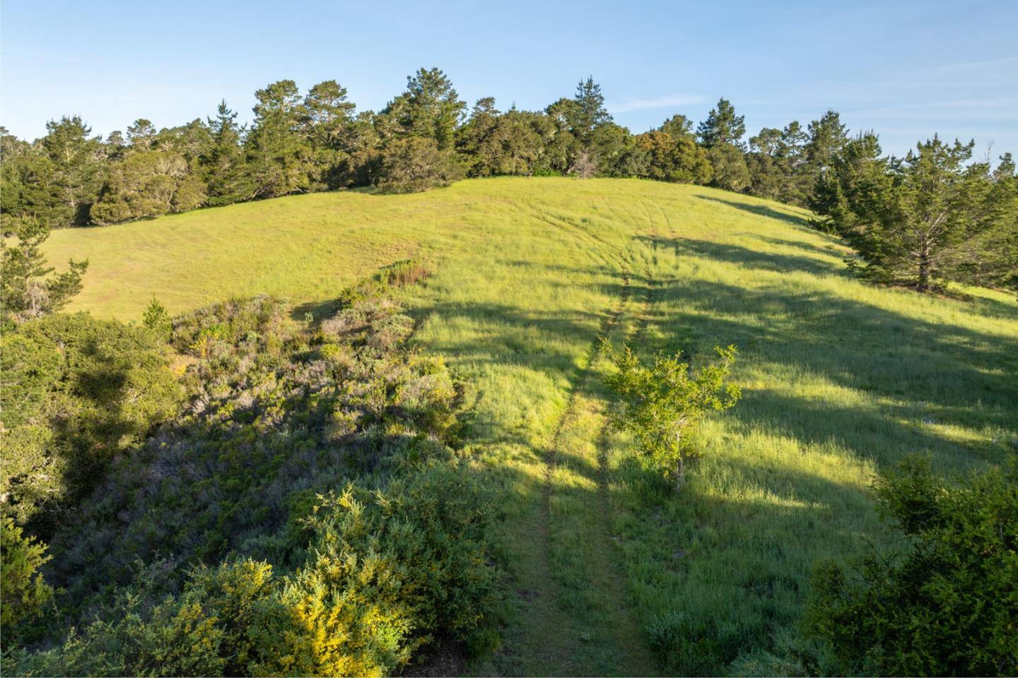 Carmel, CA 93923,7925 Cinquenta (Lot 97)