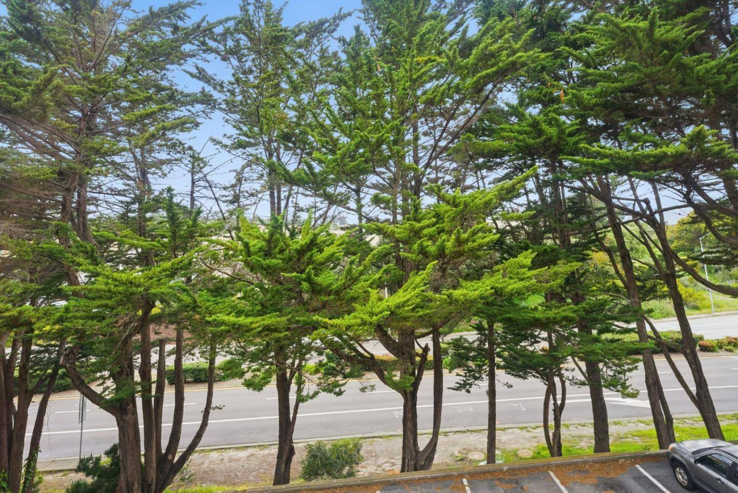 South San Francisco, CA 94080,1 Appian WAY 712-3