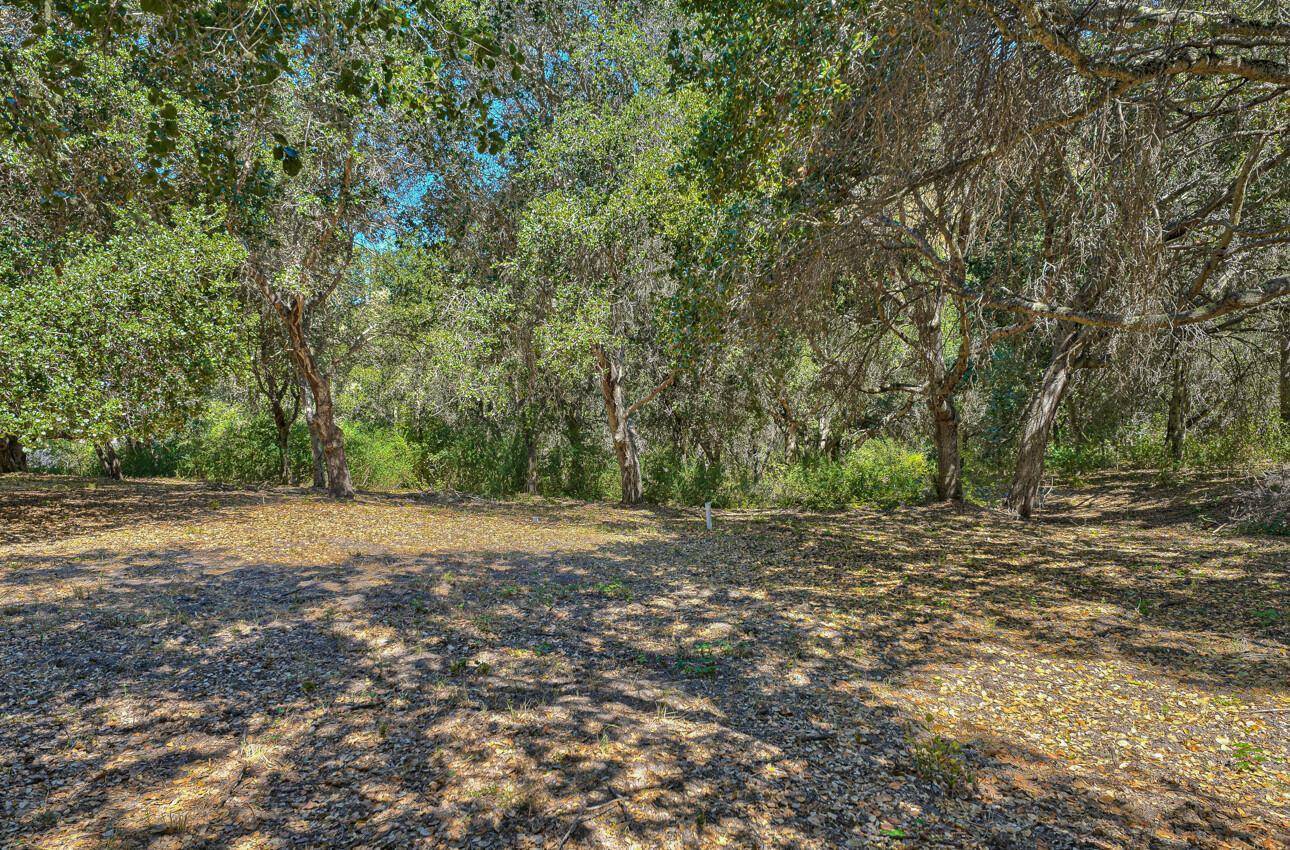 27765 Mesa Del Toro RD, Salinas, CA 93908