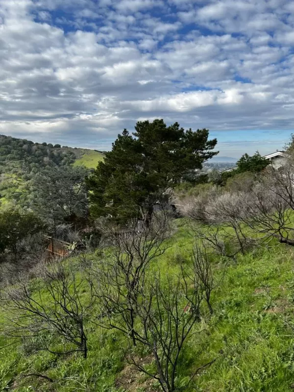 Belmont, CA 94002,00 Alhambra DR