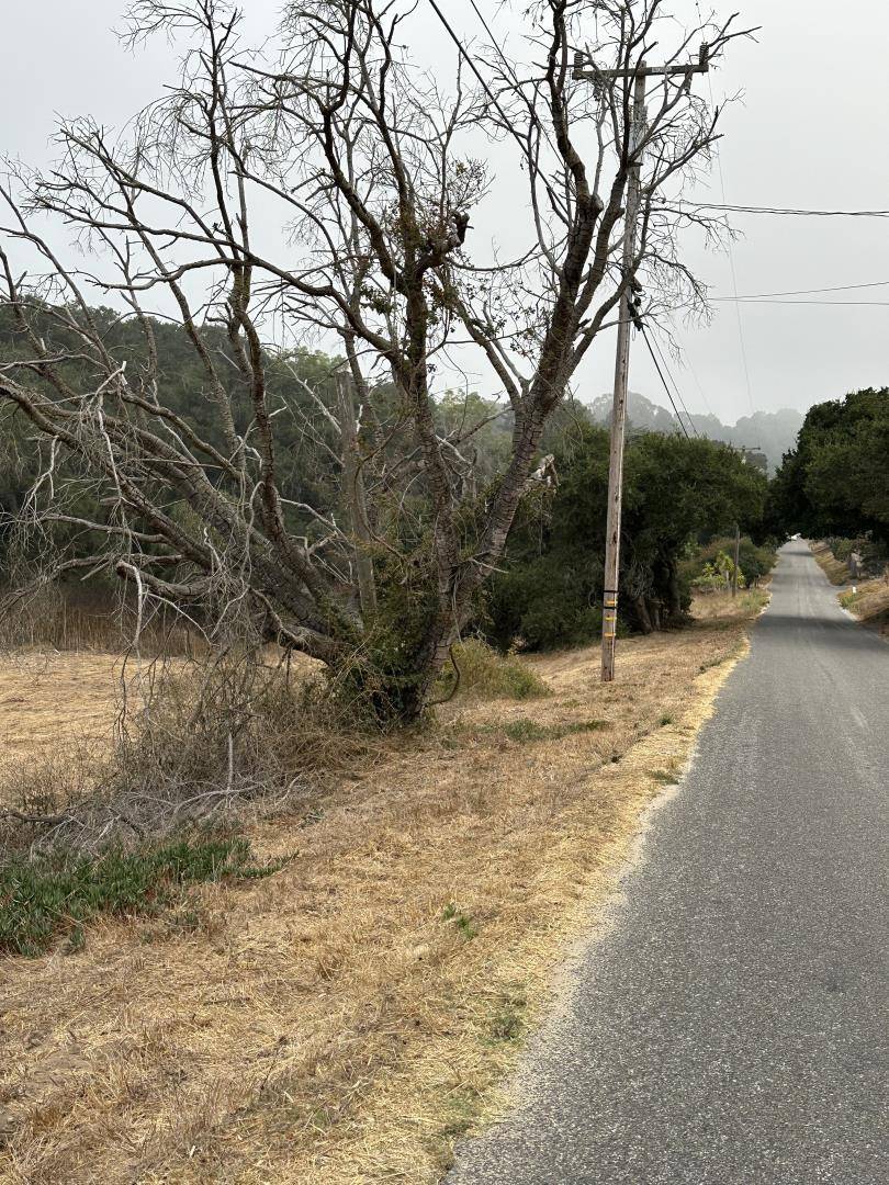 Royal Oaks, CA 95076,216 Tucker RD