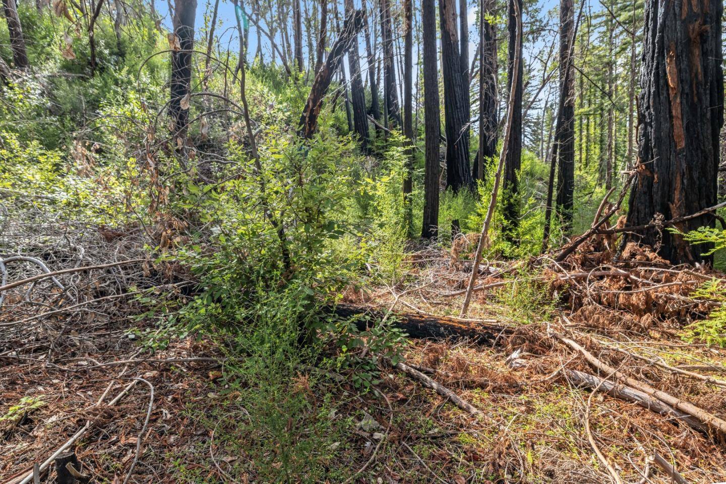 Lot 07 Dogwood WAY, Boulder Creek, CA 95006