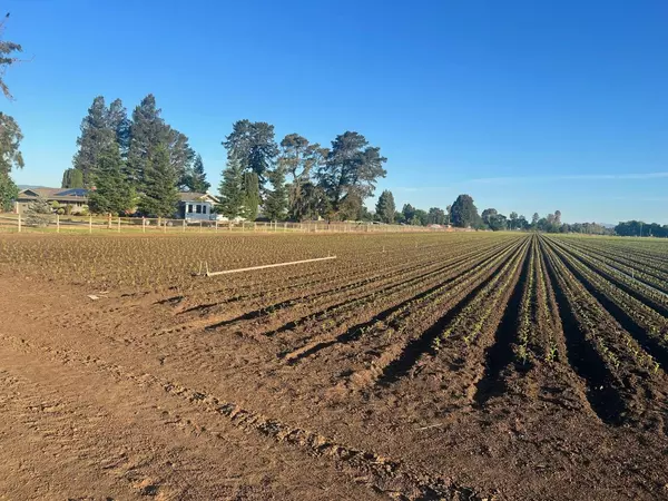 Gilroy, CA 95020,0002 Buena vista