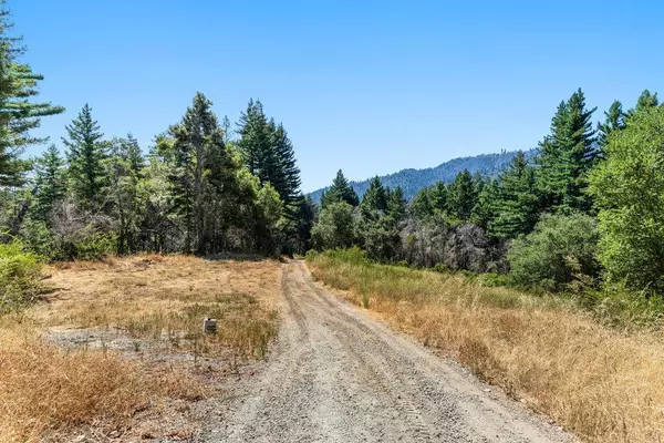 Boulder Creek, CA 95006,0 Tradewinds