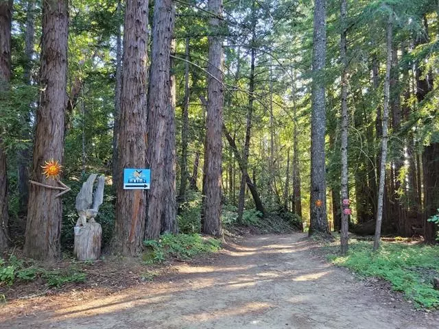 Boulder Creek, CA 95006,1 Skyview RD