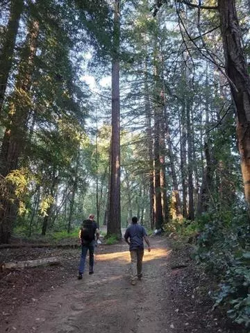 Boulder Creek, CA 95006,1 Skyview RD