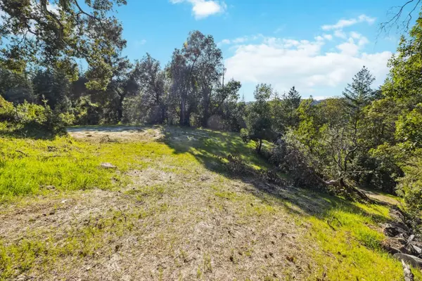 Boulder Creek, CA 95006,28 Hartman Creek